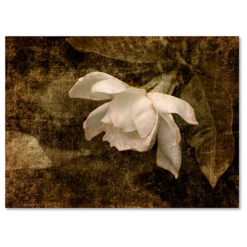 Jai Johnson 'Cape Jasmine Gardenia 2' Canvas Art, 32 x 24