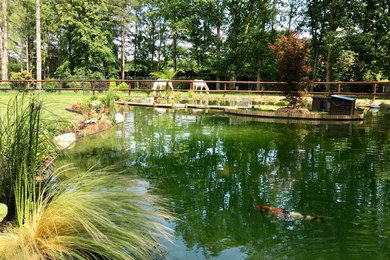 Aménagement d'un grand jardin contemporain au printemps avec un bassin et une exposition ensoleillée.