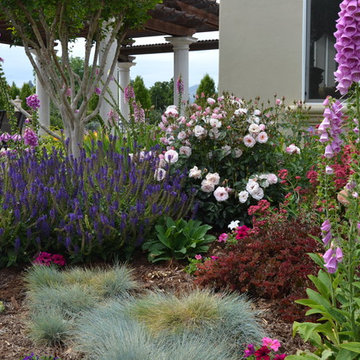 California Garden Chef Paradise