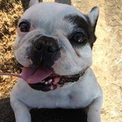 Sally Hernandez-Jimenez's photo