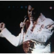 Ray Silvers's photo