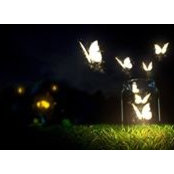 Tamara Polyakova's photo