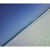 Vincenzo Minieri's photo