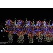 Lee Beaman's photo