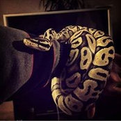 Andrew Rodriguez's photo