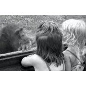Jon Cross's photo