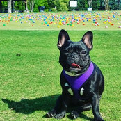 Ozzie Miller's photo