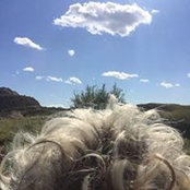 Polly Johnson's photo