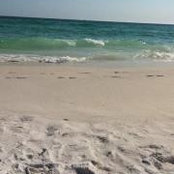 Deb Bridges's photo