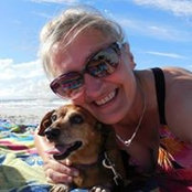 Cheryl Seifker's photo
