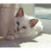 Cat Waksmacki's photo
