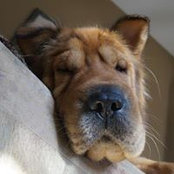 Mu Shi Christensen's photo