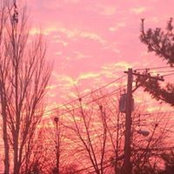 Sarah Charipar's photo