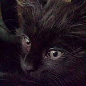 Kelly Sullivan's photo