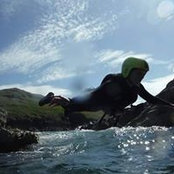 Sharon Ward's photo