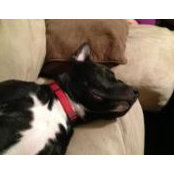 Jonathan Christopher's photo