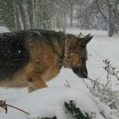 Foto von Judy Colfack