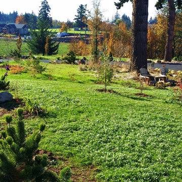 High Tech Turf Renovator Technology To YOU !