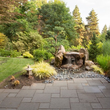 Bav backyard