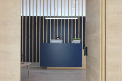 Modelo de distribuidor actual de tamaño medio con paredes azules, suelo de madera en tonos medios, puerta pivotante, puerta de madera en tonos medios y suelo marrón