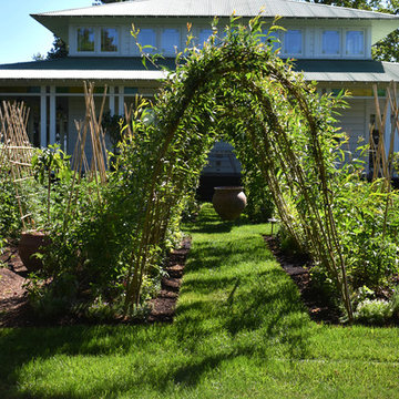 Vegetable Garden & Trellis