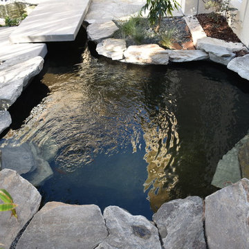 Front Yard Water Garden Pond