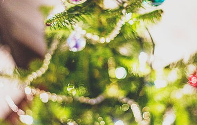 Christmas: How to Keep Your Christmas Tree in Top Shape