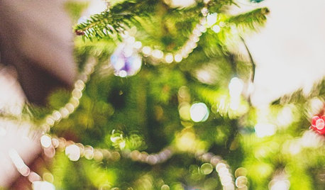Christmas: How to Keep Your Christmas Tree in Top Shape