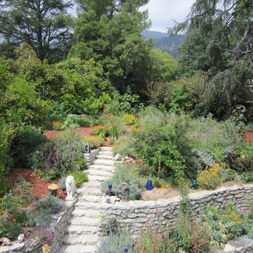 Water harvesting xer