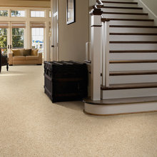 Stairs & Carpets