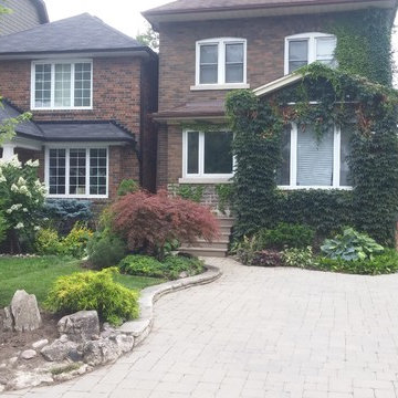 Garden Cleanup Before & After
