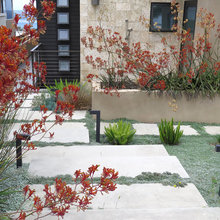 Landscape Plants