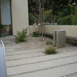 Cette image montre un jardin design avec un chemin.