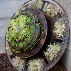 Holiday Wreaths - Outdoor Decor