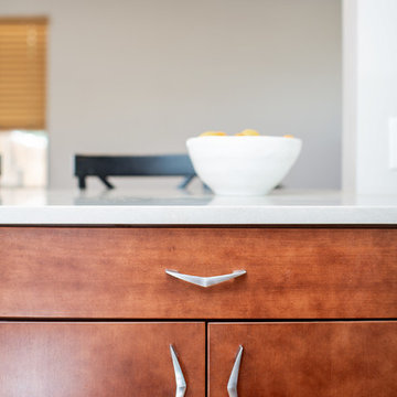 Detroit Street Kitchen Renovation