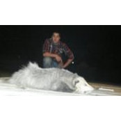 Logan Keleher's photo
