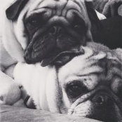 Andie Freberg's photo