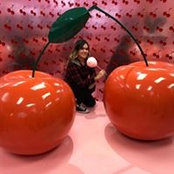 Ruth Mirandaさんの写真