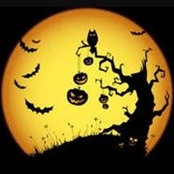Lisa Brown's photo
