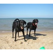 Jennifer Reenan's photo