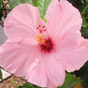 jackie nietzer's photo