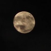 Foto von Mary Frintner