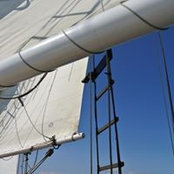 Michael Dibble's photo