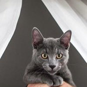 Rita Nini's photo