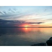 Don Jackson's photo