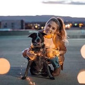 Allie Halpines foto