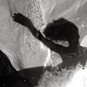 Angela Siekman's photo