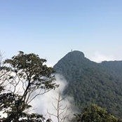 Pete Vo's photo