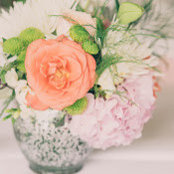 Diana Zeeh's photo