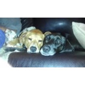 Susan Wood Myles's photo